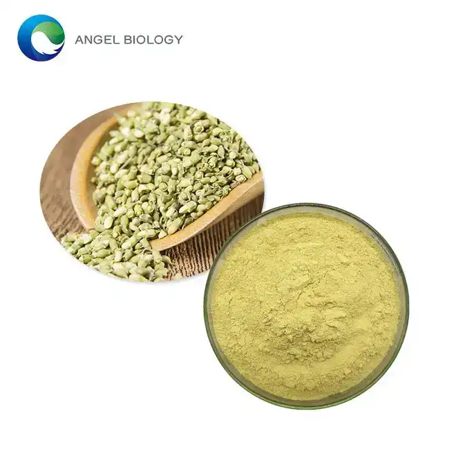 How Does Rutin Powder Improve Blood Circulation? A Guide to Its Best Uses